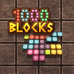1000 Blocks